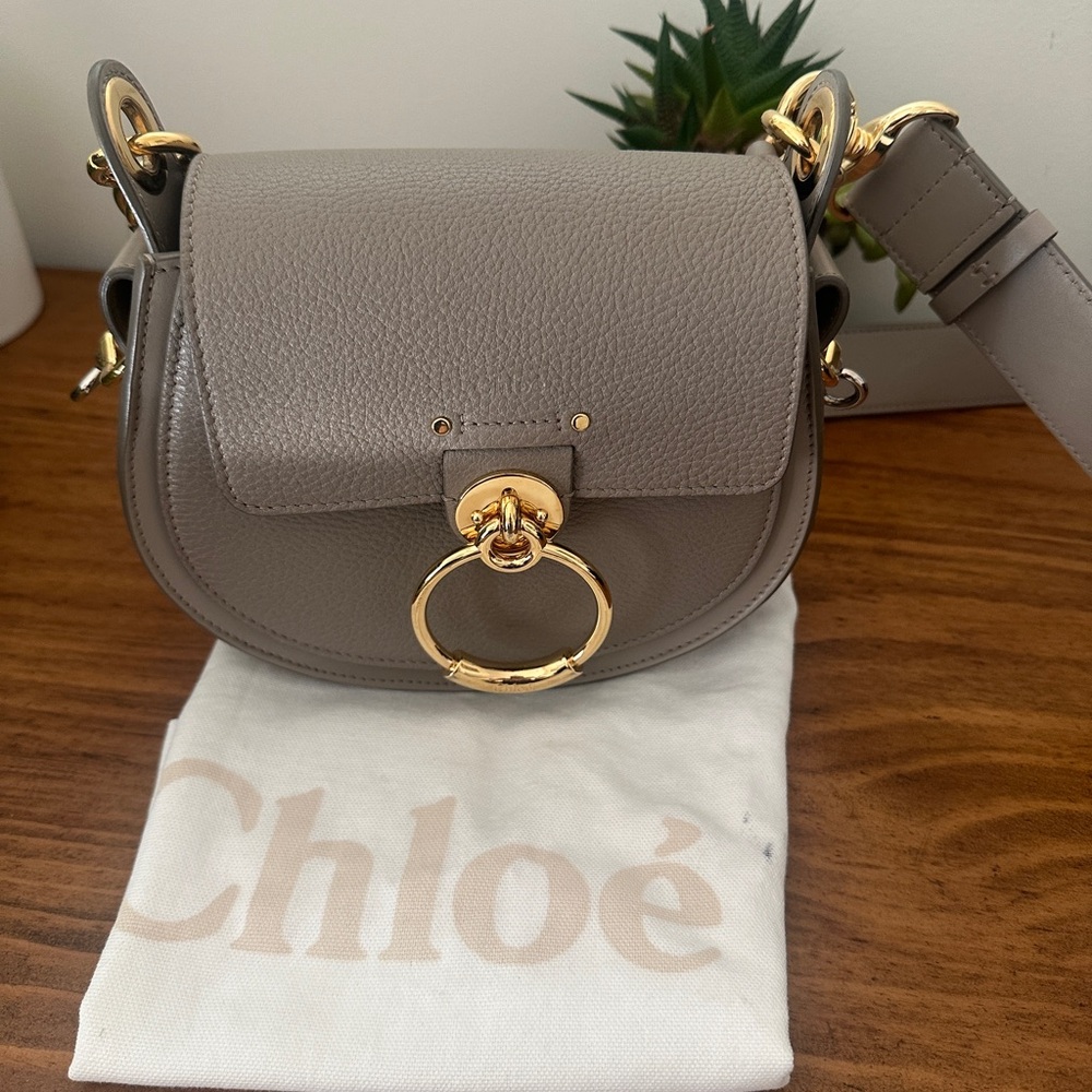 Chloe Gray Leather Bag with Gold Accents